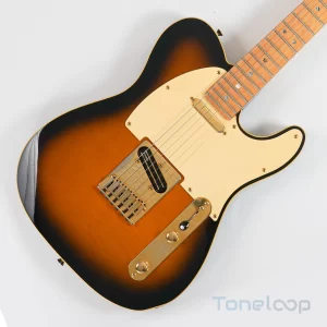 Richie Kotzen Telecaster VENDIDA