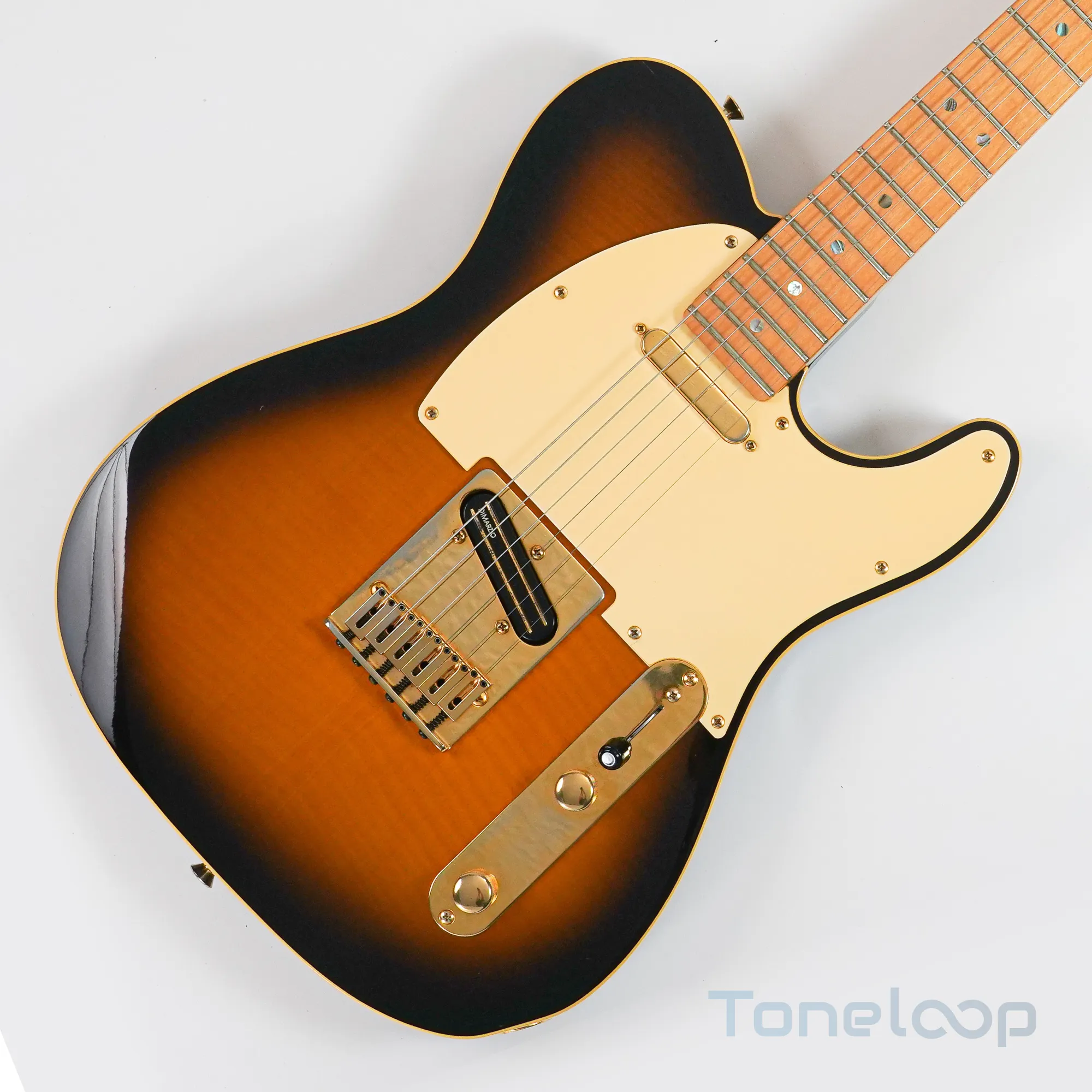 Richie Kotzen Telecaster VENDIDA