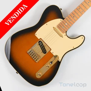 Richie Kotzen Telecaster (Vendida)