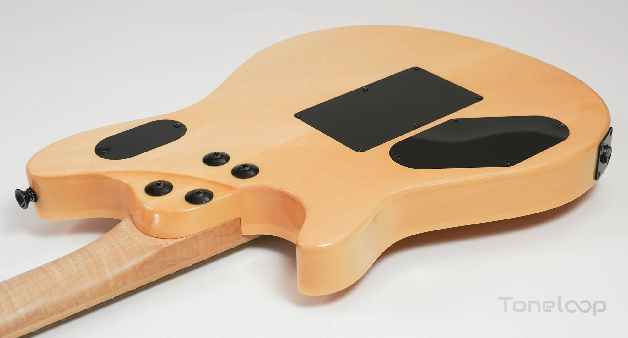 EVH Wolfgang Special - Image 11