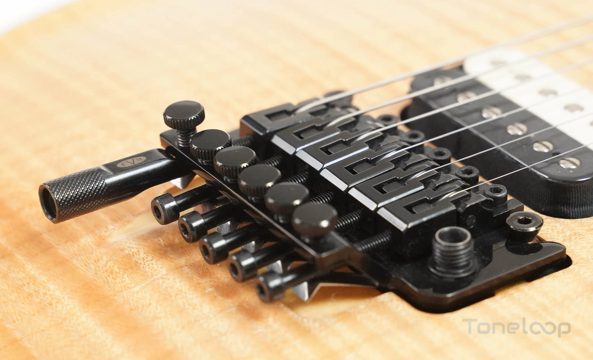 EVH Wolfgang Special - Image 14