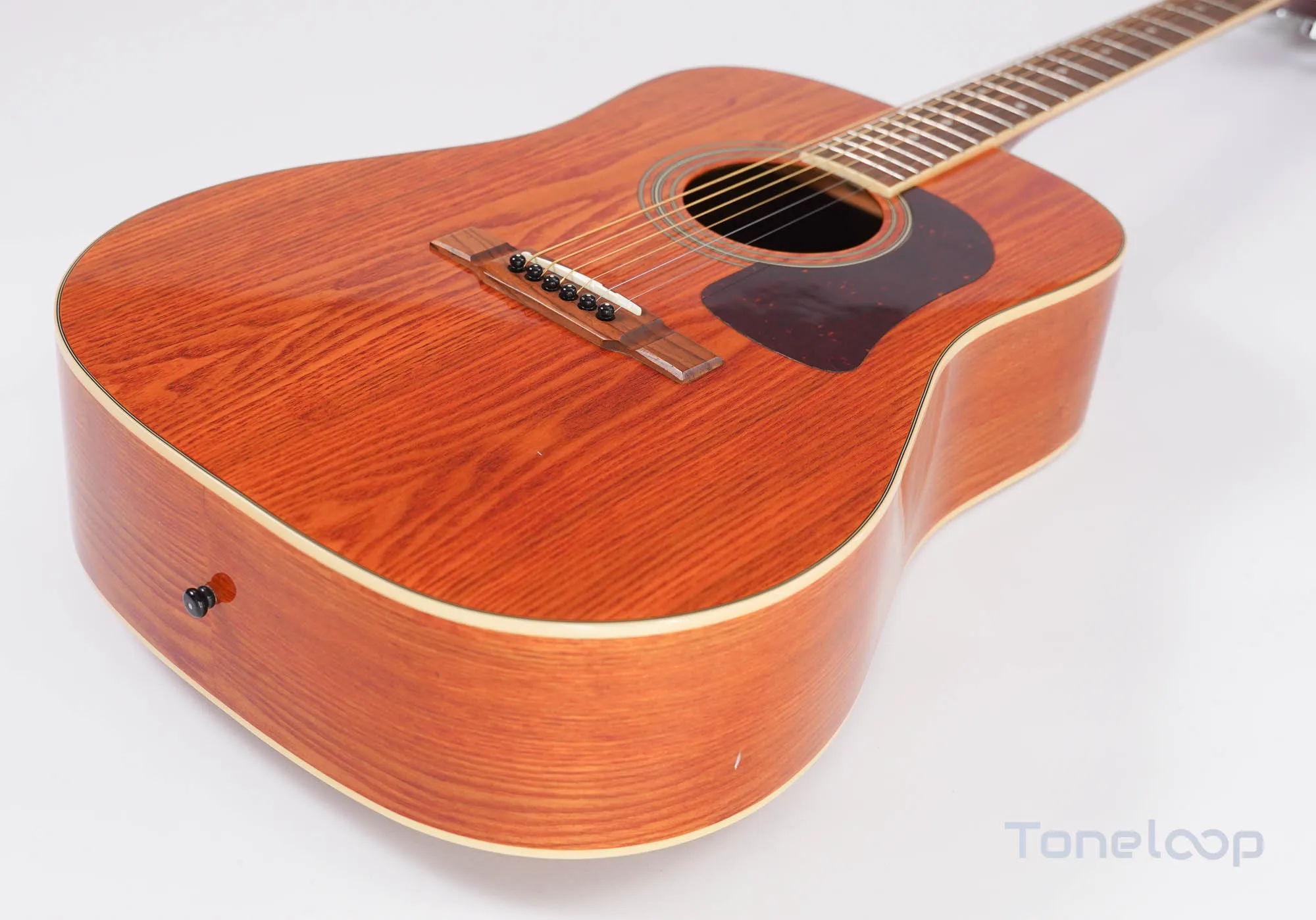 Washburn D-11/AN - Image 3