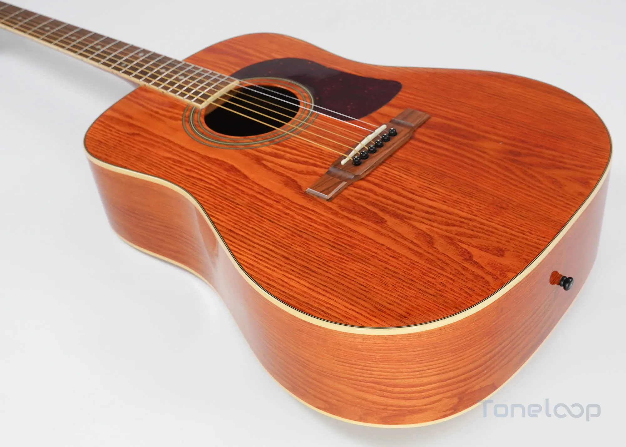 Washburn D-11/AN - Image 9