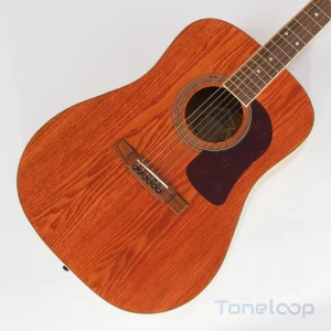 Washburn D-11/AN