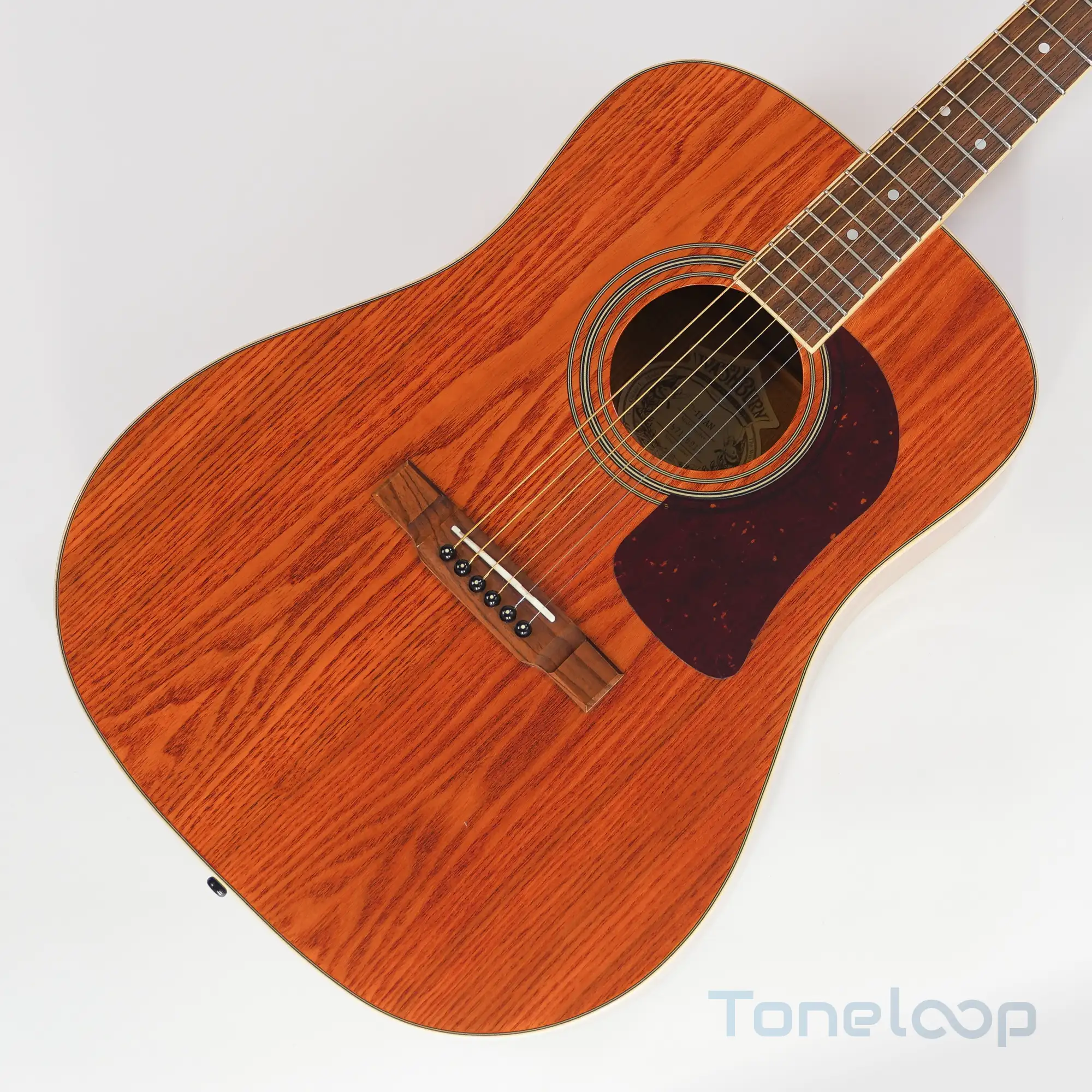 Washburn D-11/AN