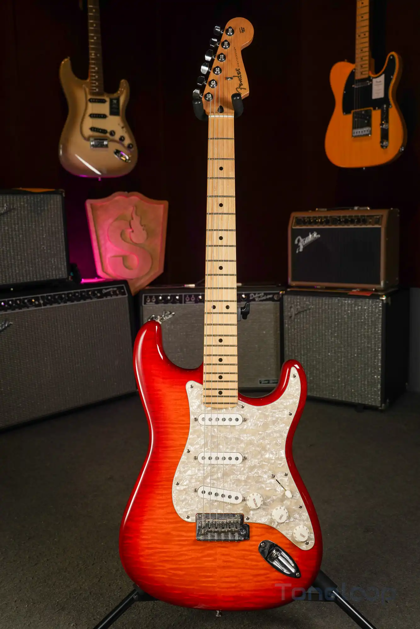 Fender Stratocaster Player Plus - Image 5