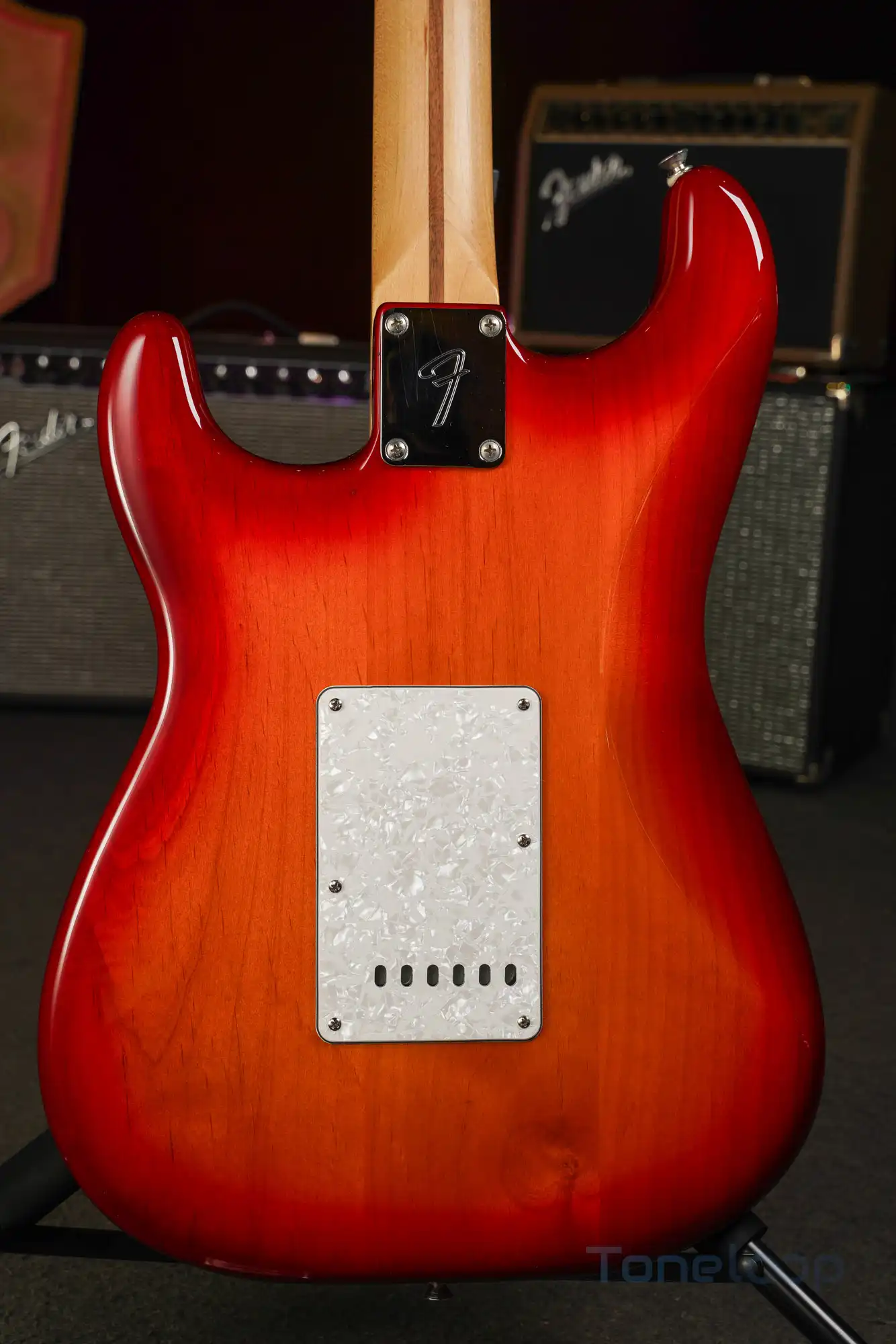 Fender Stratocaster Player Plus - Image 6