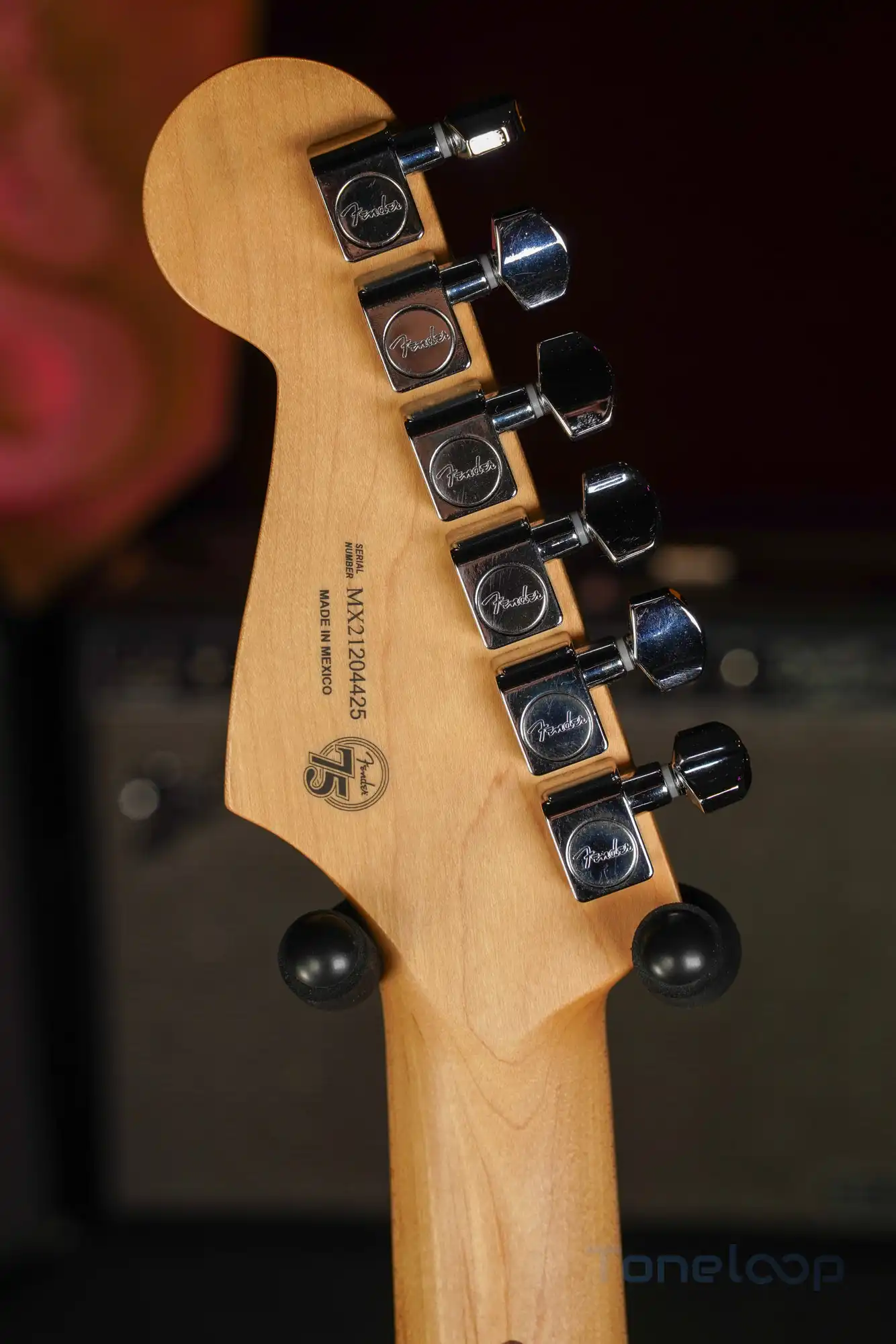 Fender Stratocaster Player Plus - Image 9